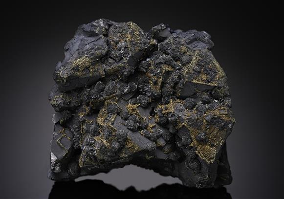 CC10108 specimen image