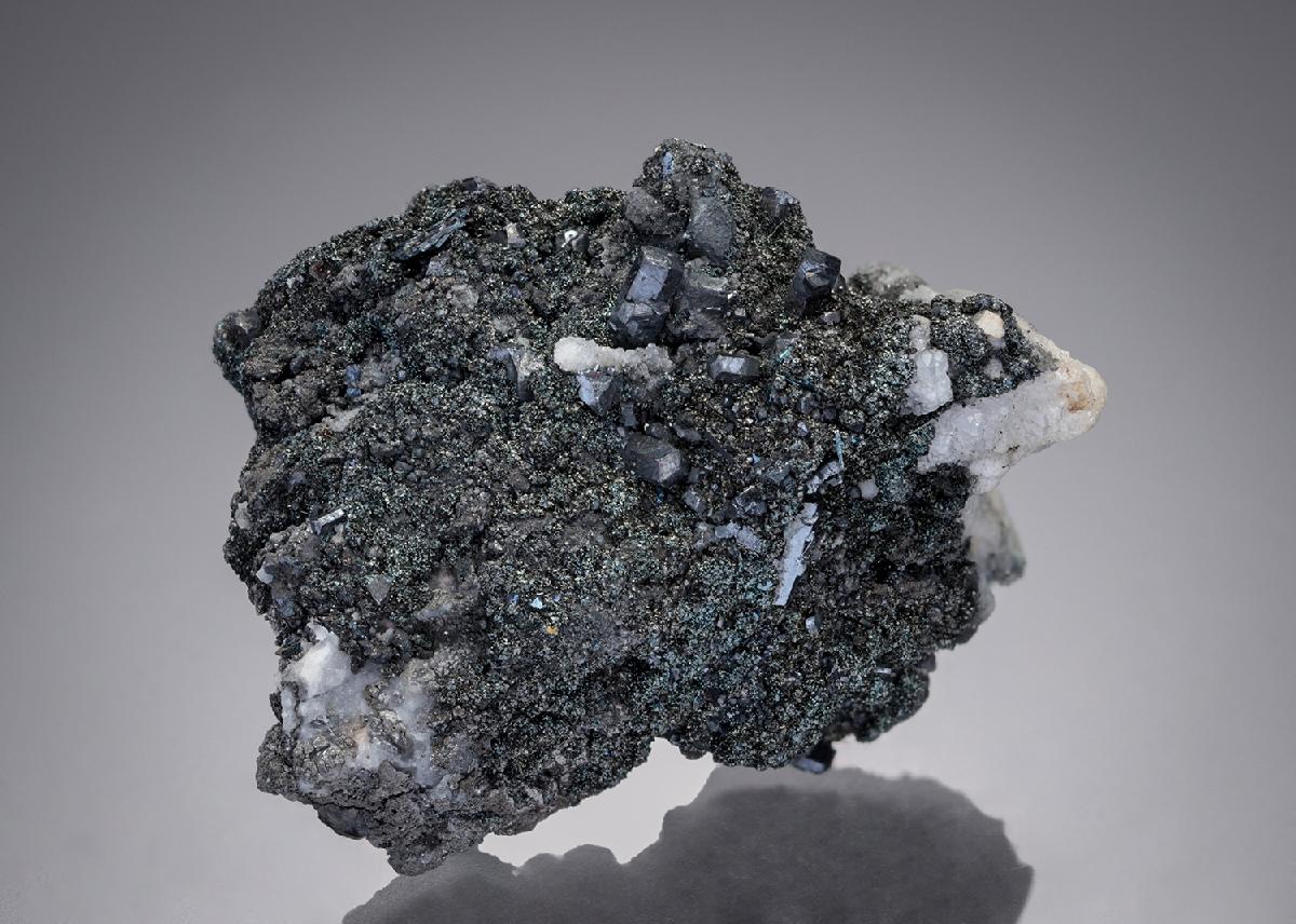 CC10110 specimen image