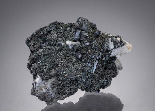 CC10110 specimen image
