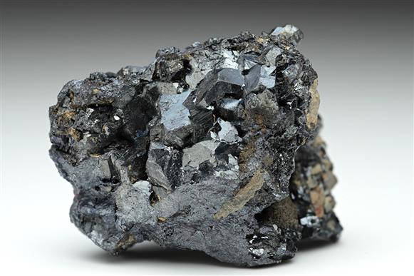 CC10111 specimen image