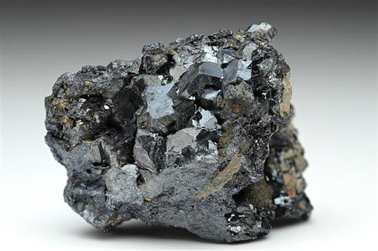 CC10111 specimen image