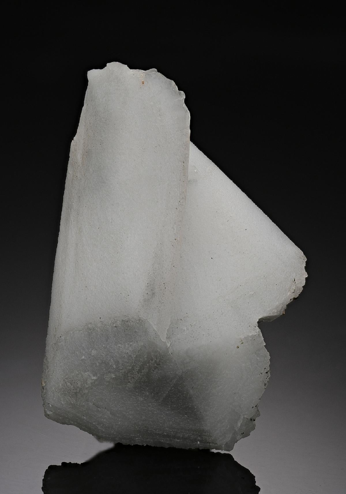CC10113 specimen image