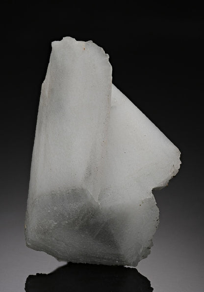 CC10113 specimen image