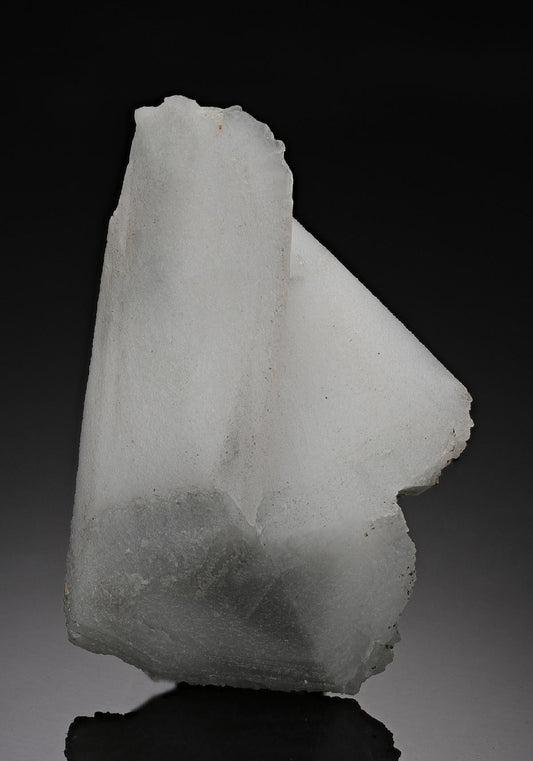 CC10113 specimen image
