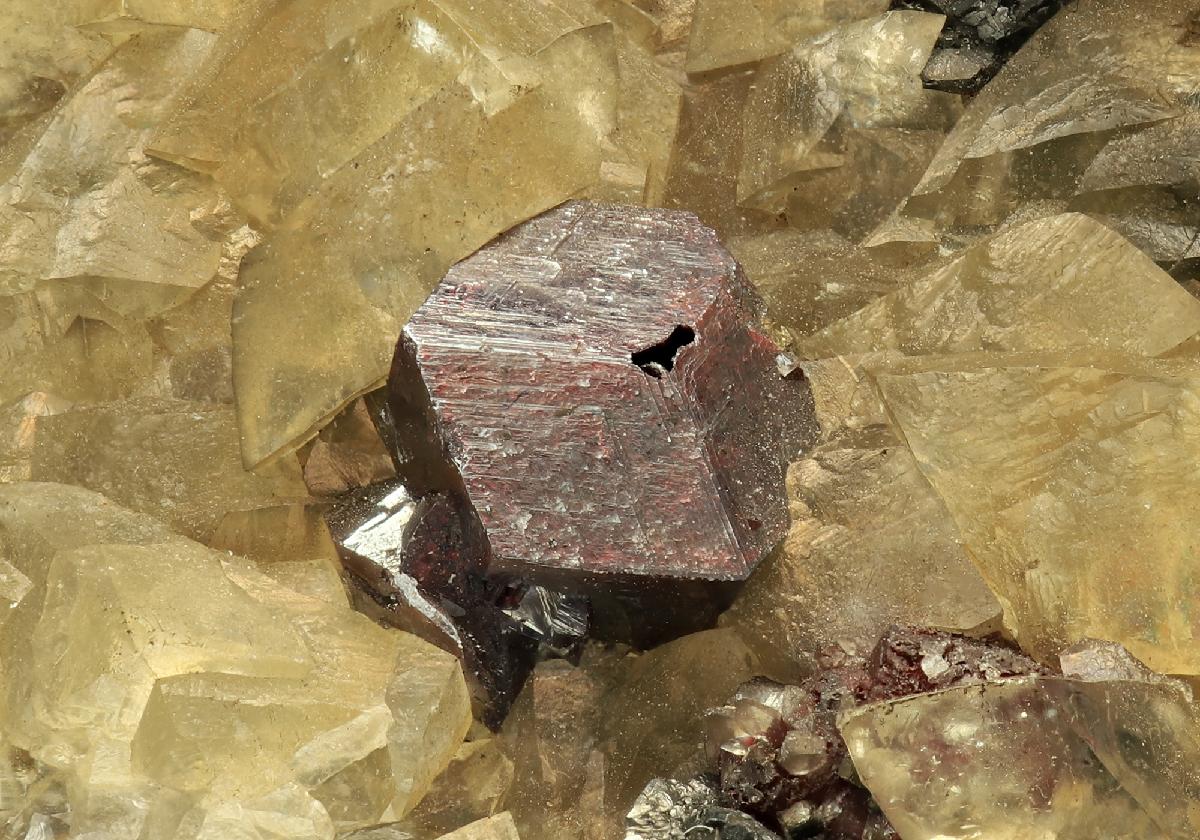 CC10114 specimen image