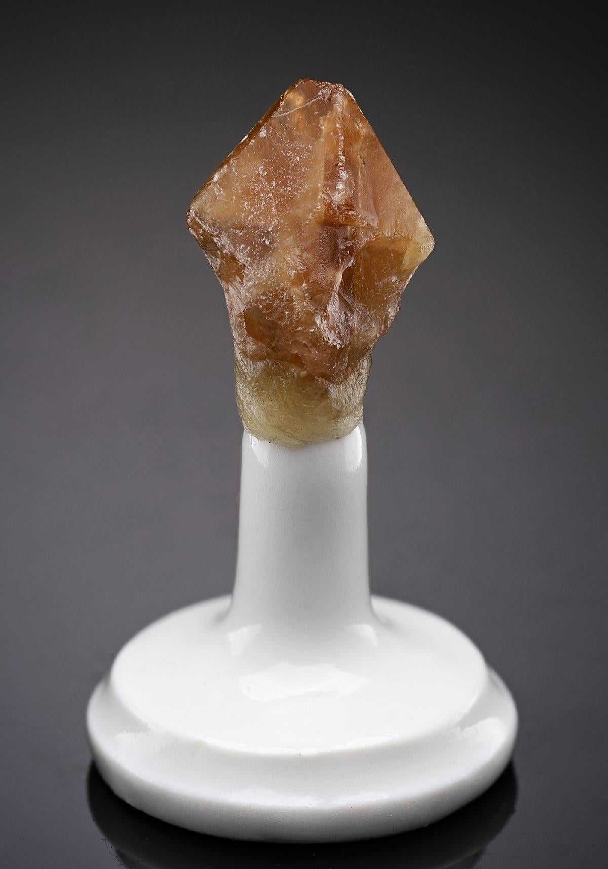 CC10116 specimen image