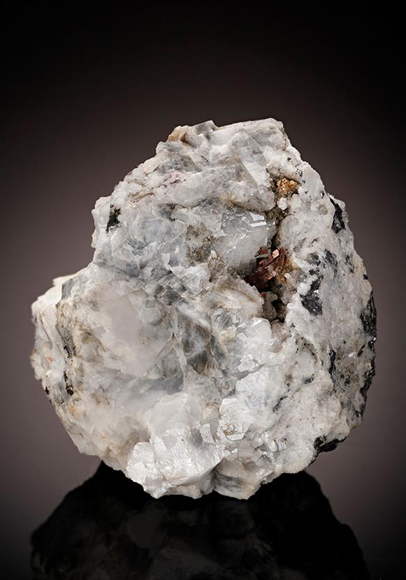 CC10117 specimen image
