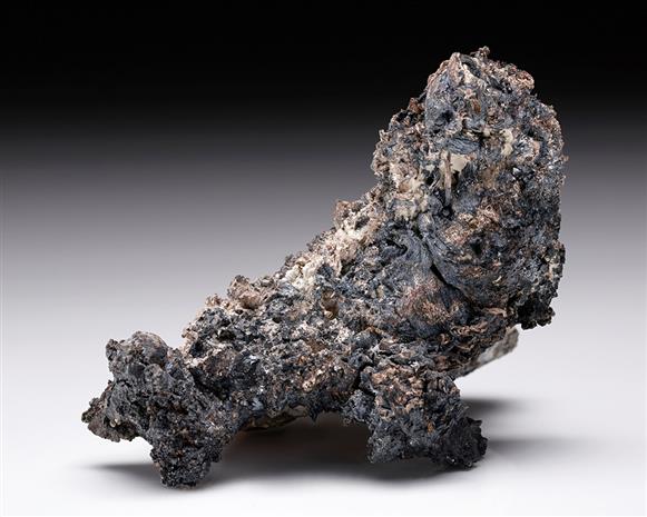 CC10118 specimen image