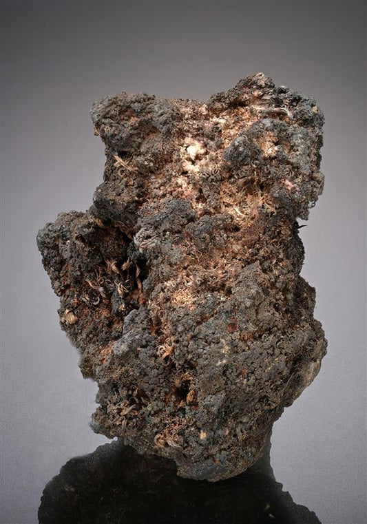 CC10123 specimen image