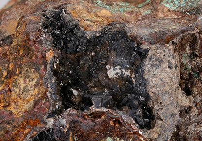 CC10125 specimen image