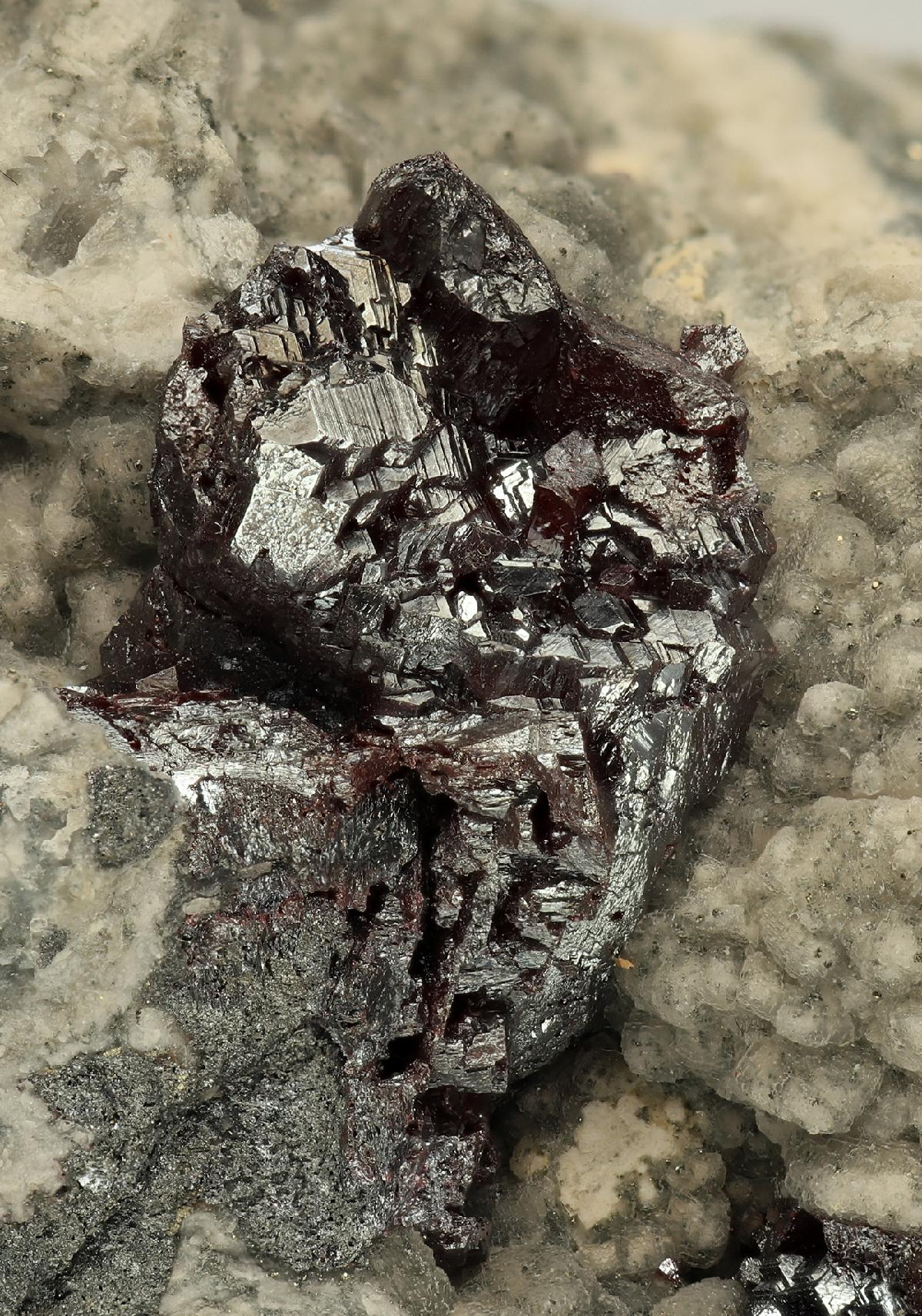 CC10127 specimen image