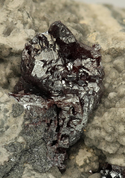 CC10127 specimen image
