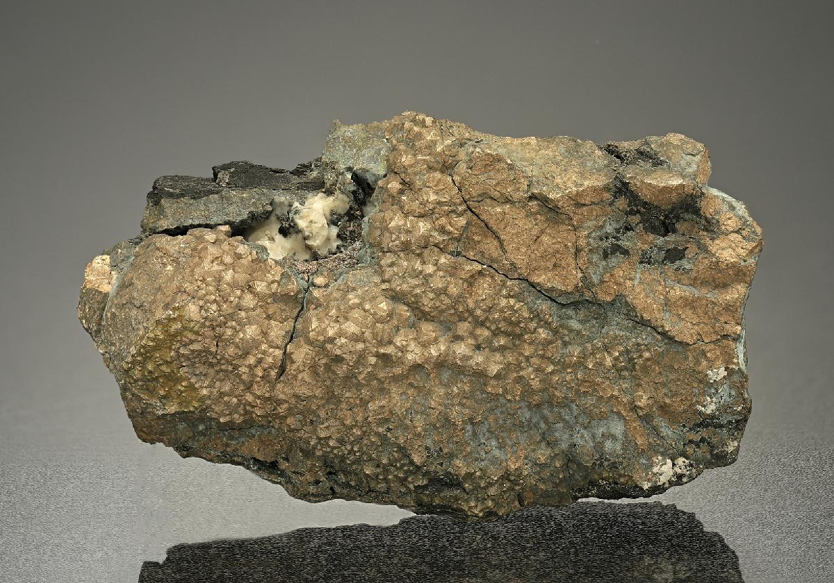 CC10135 specimen image
