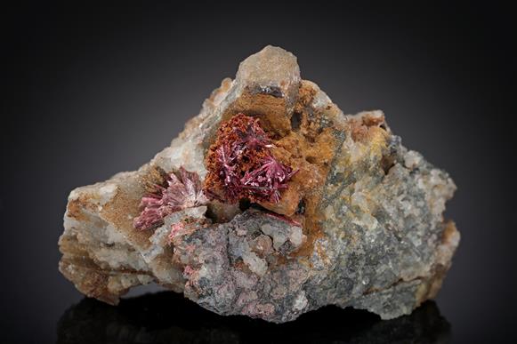 CC10136 specimen image