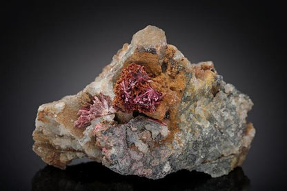 CC10136 specimen image
