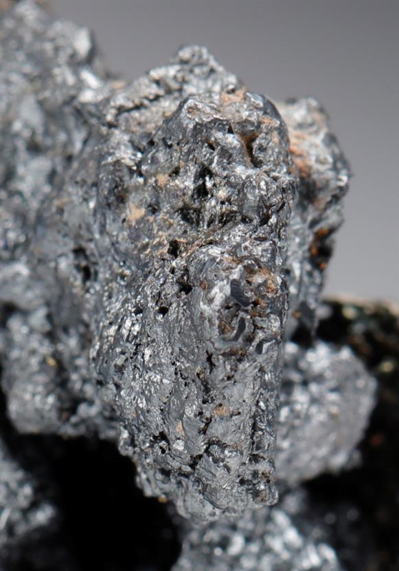 CC10137 specimen image