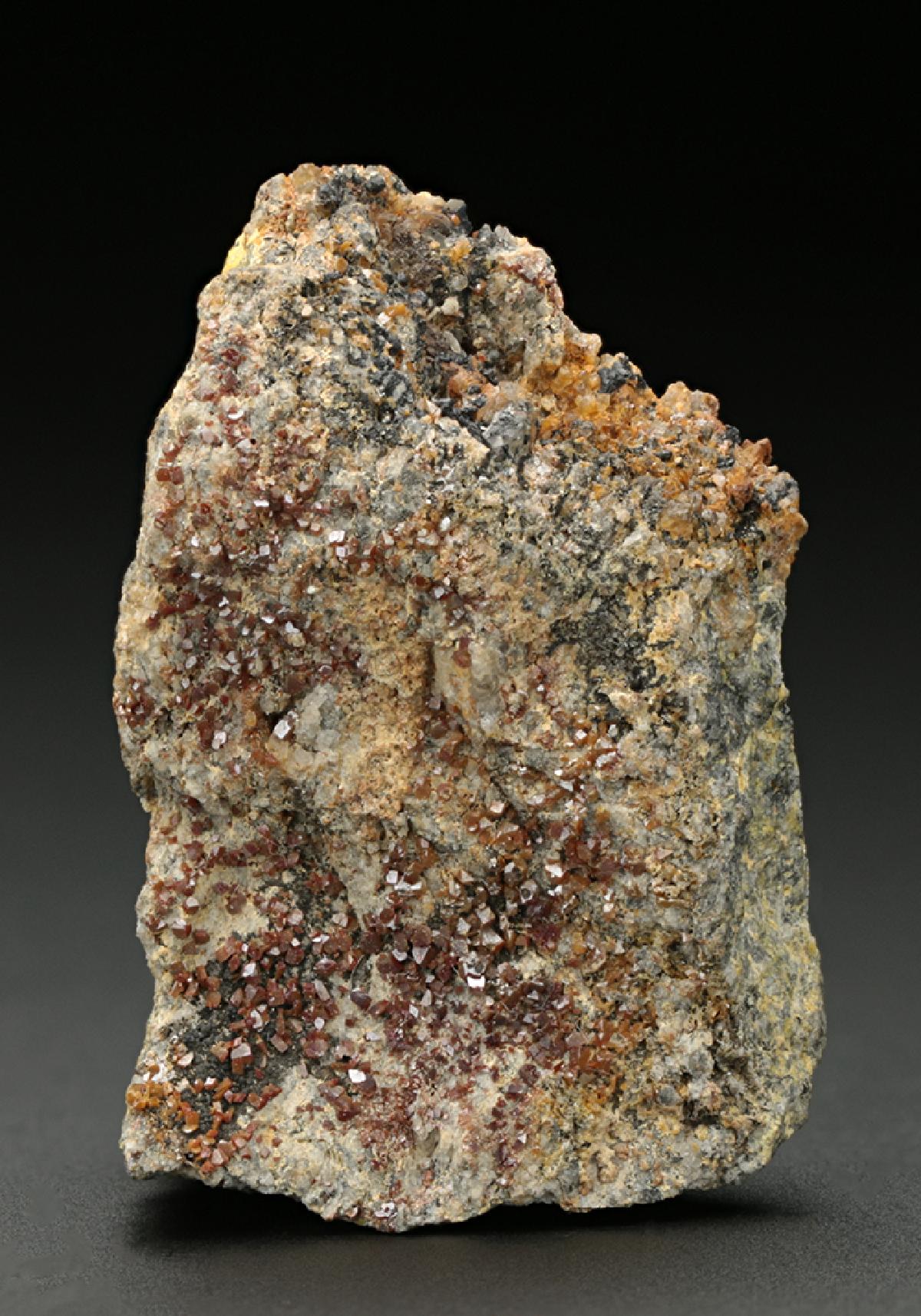 CC10142 specimen image