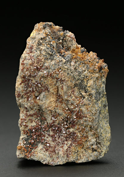 CC10142 specimen image