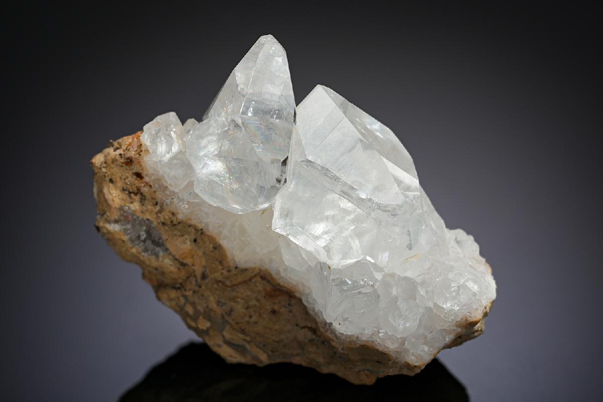 CC10143 specimen image