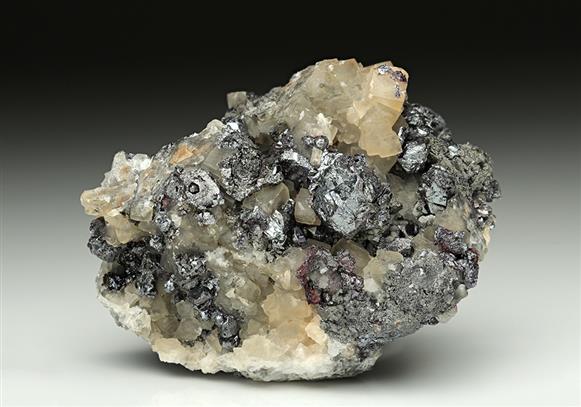 CC10167 specimen image