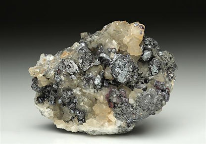 CC10167 specimen image