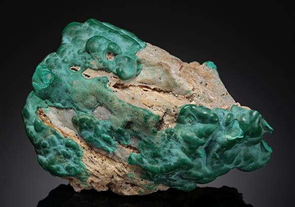 CC10168 specimen image