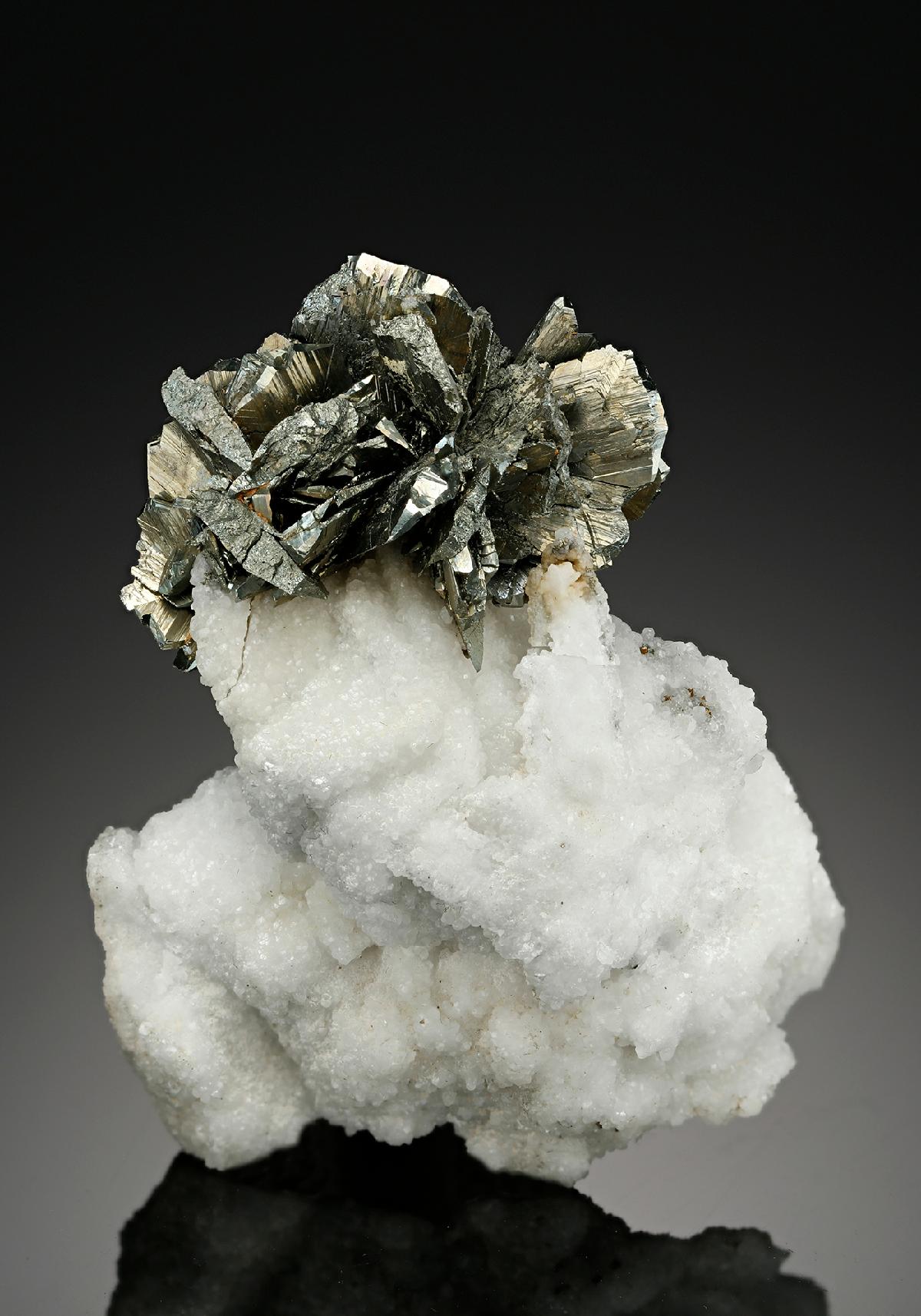 CC10170 specimen image