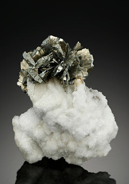 CC10170 specimen image
