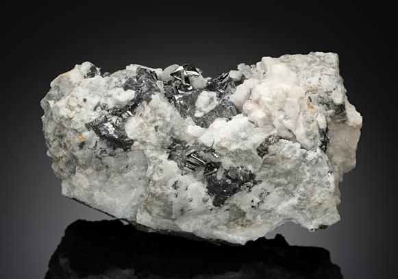 CC10175 specimen image