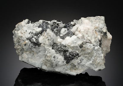 CC10175 specimen image