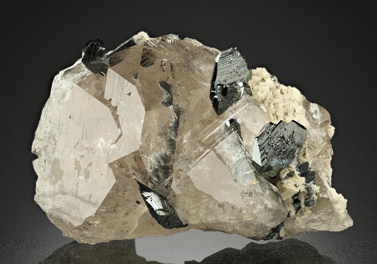 CC10191 specimen image