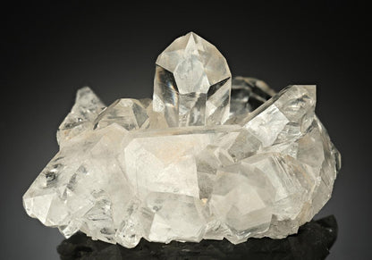 CC10195 specimen image