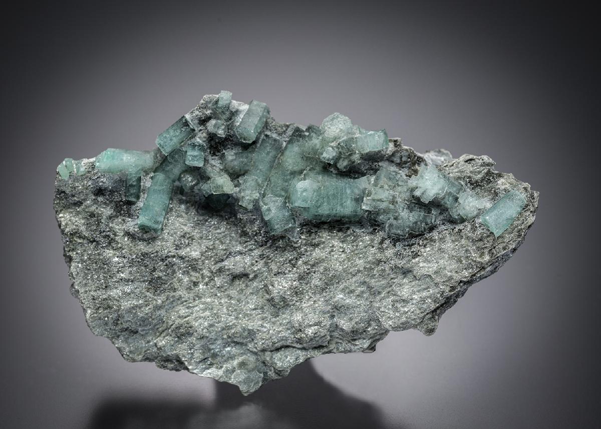 CC10205 specimen image
