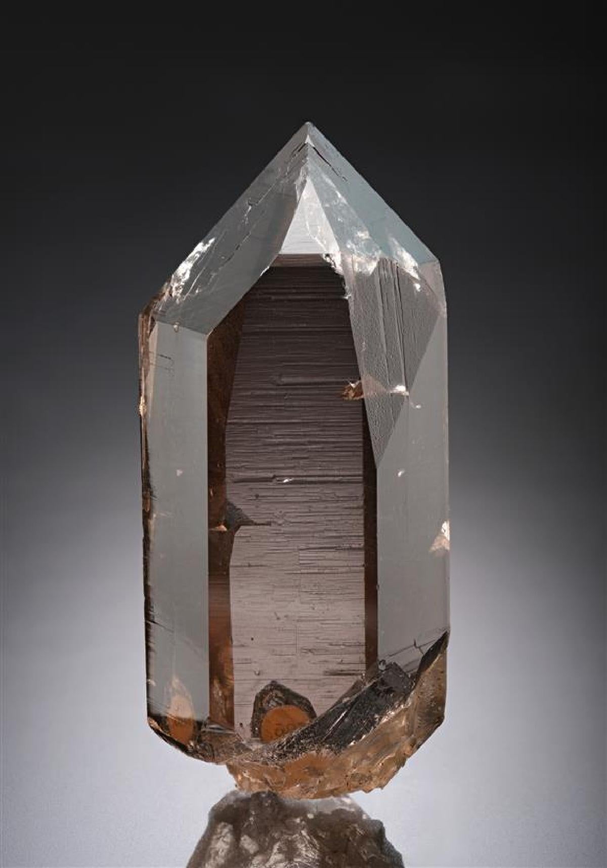 CC10207 specimen image
