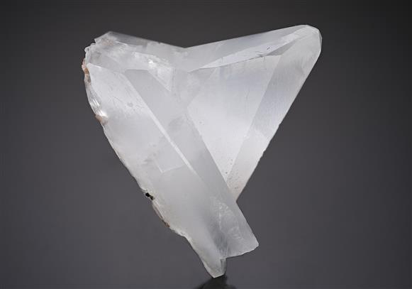 CC10210 specimen image