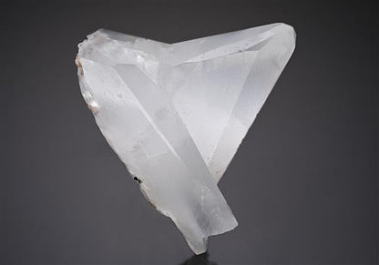 CC10210 specimen image