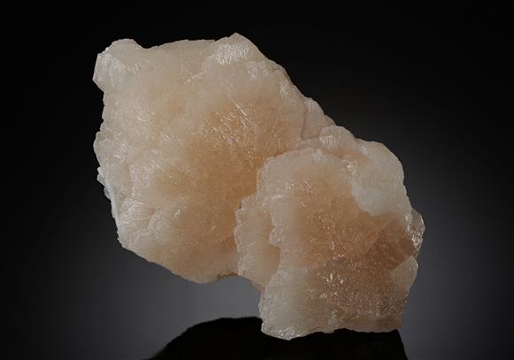 CC10233 specimen image