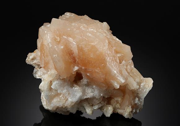 CC10234 specimen image