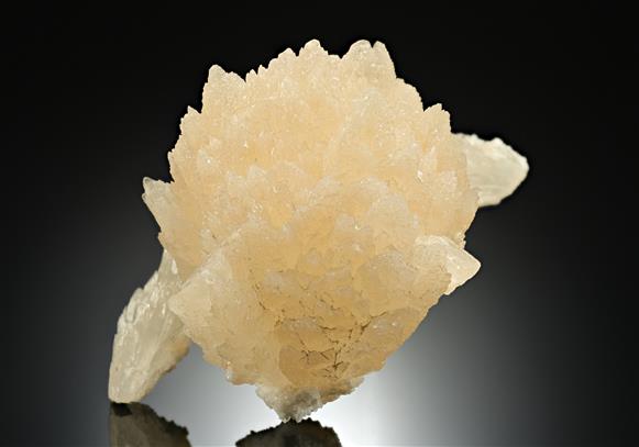 CC10236 specimen image
