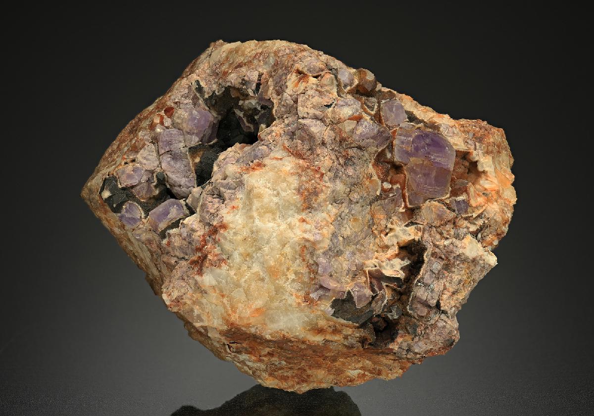 CC10238 specimen image