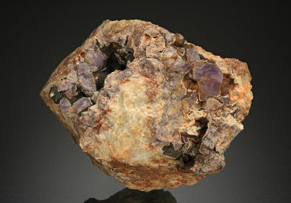 CC10238 specimen image