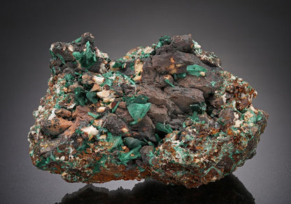 CC10247 specimen image