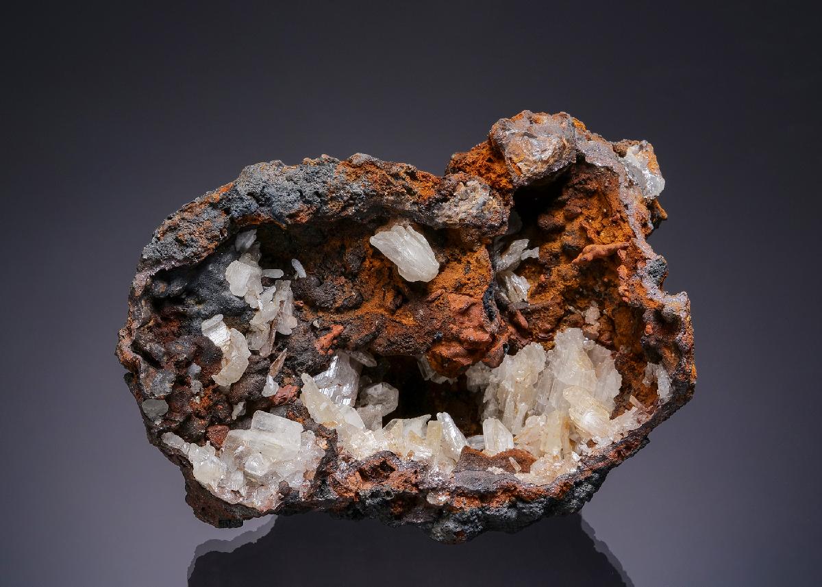 CC10249 specimen image