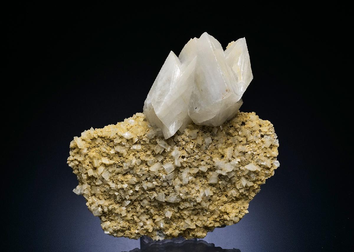 CC10263 specimen image