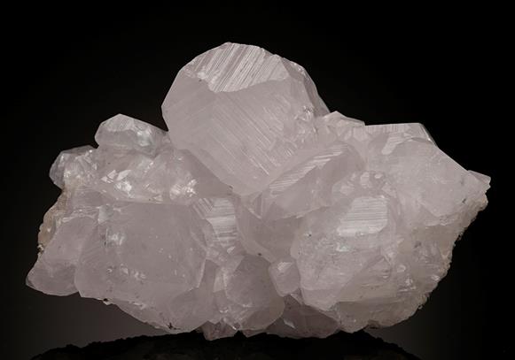 CC10277 specimen image