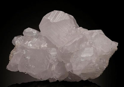 CC10277 specimen image