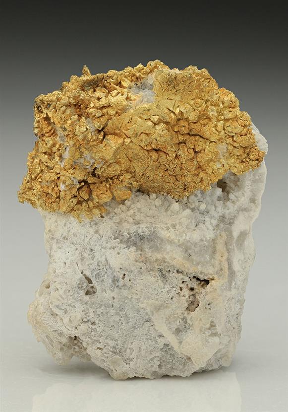 CC10290 specimen image