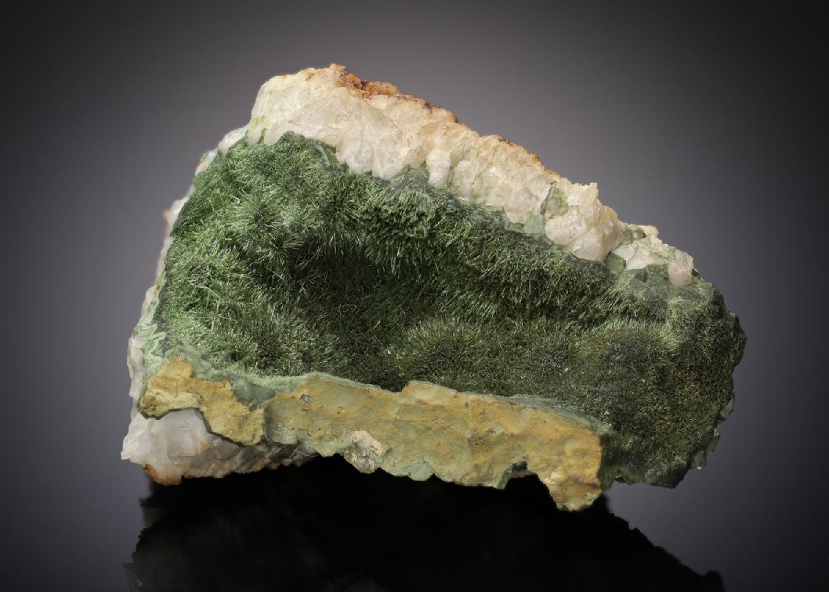 CC10304 specimen image