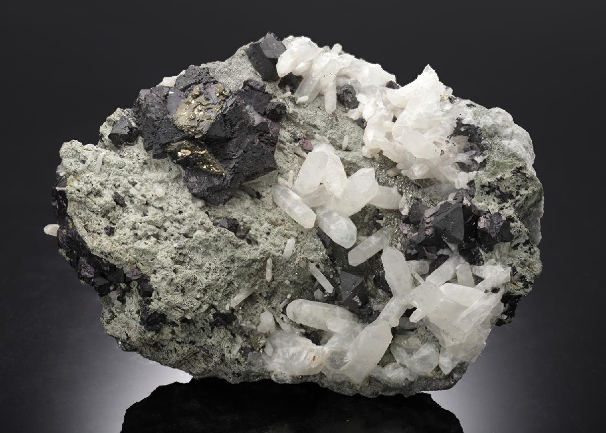 CC10312 specimen image