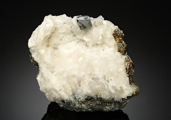 CC10322 specimen image